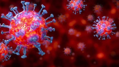 Coronavirus (Covid-19) Update