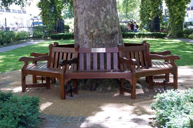 Tree Seats