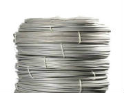 Stainless + Black Annealed Tying Wire
