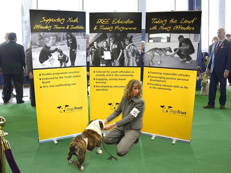 Roller Banners