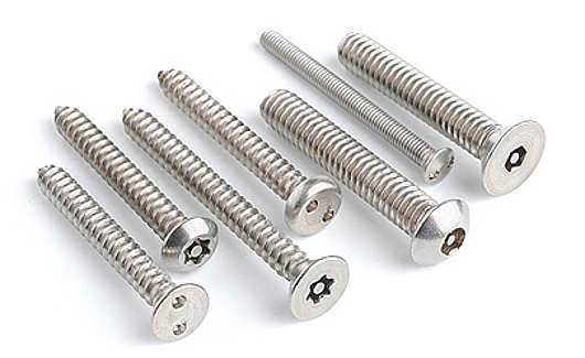 Stainless Steel Security Screws