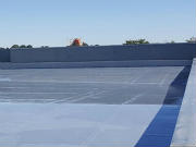 Polyurethane Coating