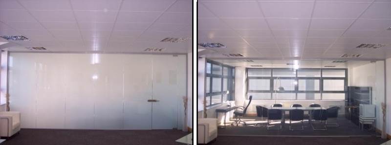 Main image for Intelligent Glass �