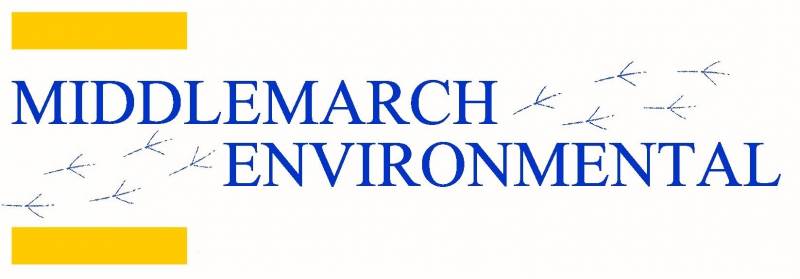 Main image for Middlemarch Environmental