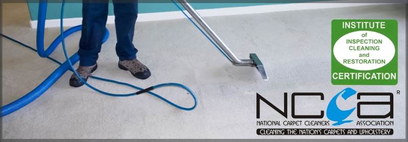 Main image for Excel Carpet Cleaning