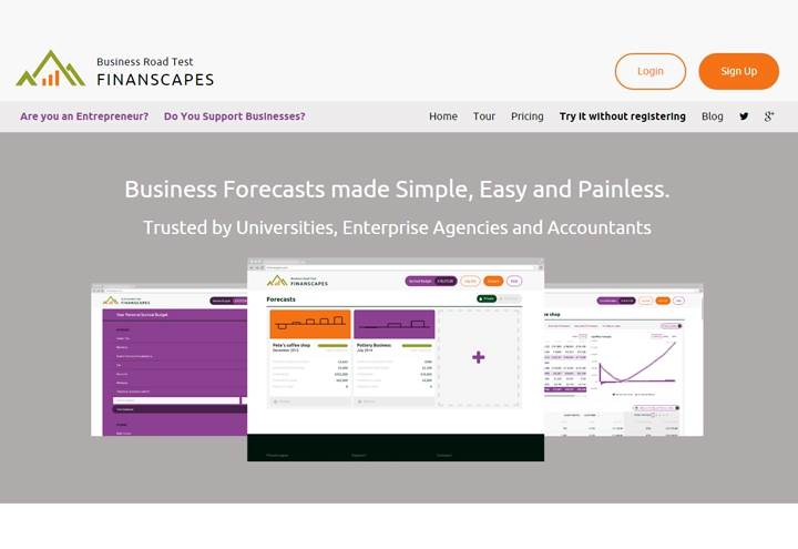 Main image for FINANSCAPES