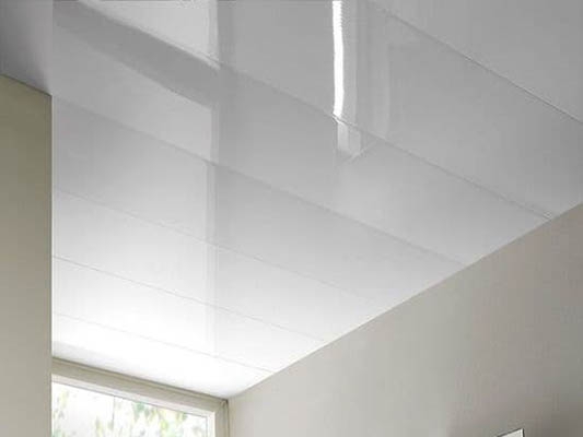 Ceiling Panels