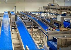 Modular & Stainless Steel Conveyor Systems