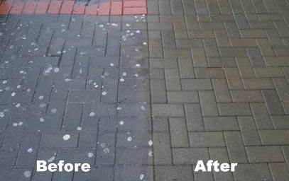 Chewing Gum Removal
