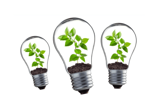 ISO 14001