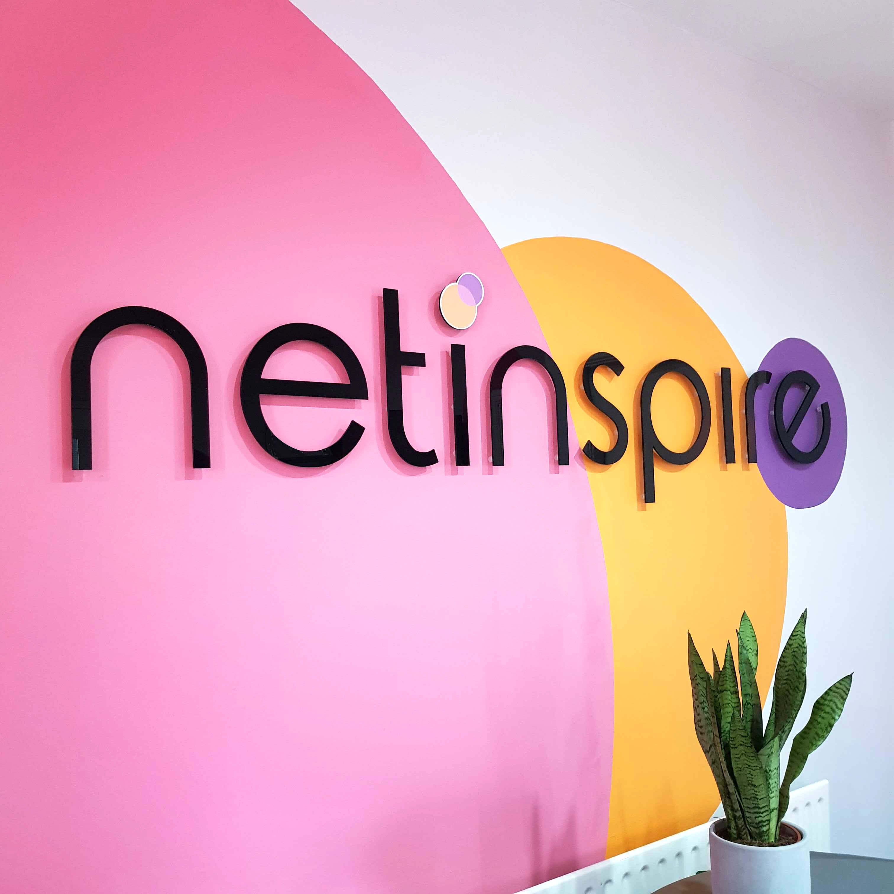 Main image for Netinspire