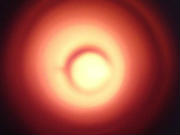 Oxygen Analysis