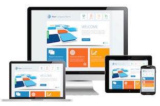 Main image for Ninja SEO London