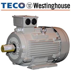 Electric Motors in Stock