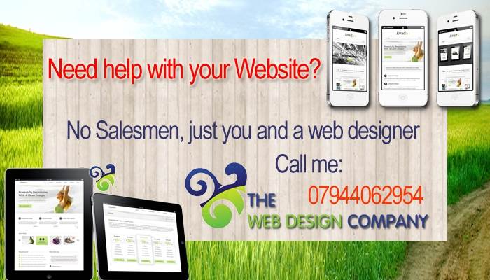 Main image for The Web Design Company