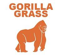 Main image for Gorilla Grass