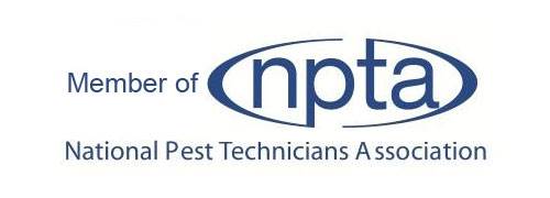 Main image for San-tech - Pest Control Bexhill, Hastings and Eastbourne