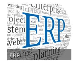 Enterprise Resource Planning (ERP)