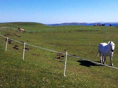 Solar Electric Fencing Kits