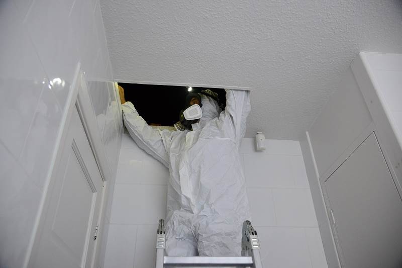 Asbestos Surveyors - Commercial and Domestic