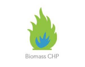 Biomass CHP