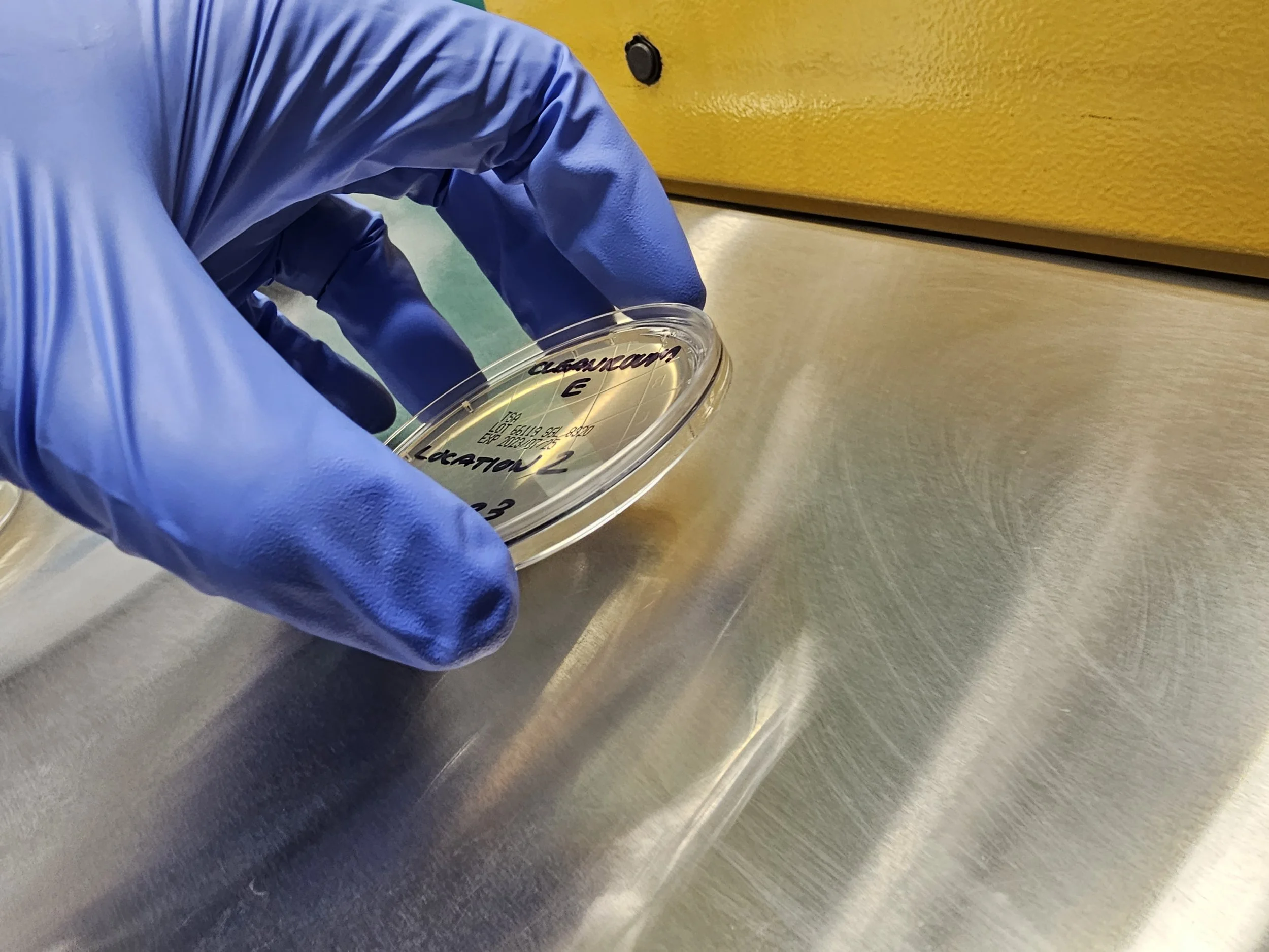 Monthly Agar Testing Plates