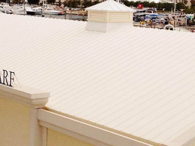 Single Ply Roofing
