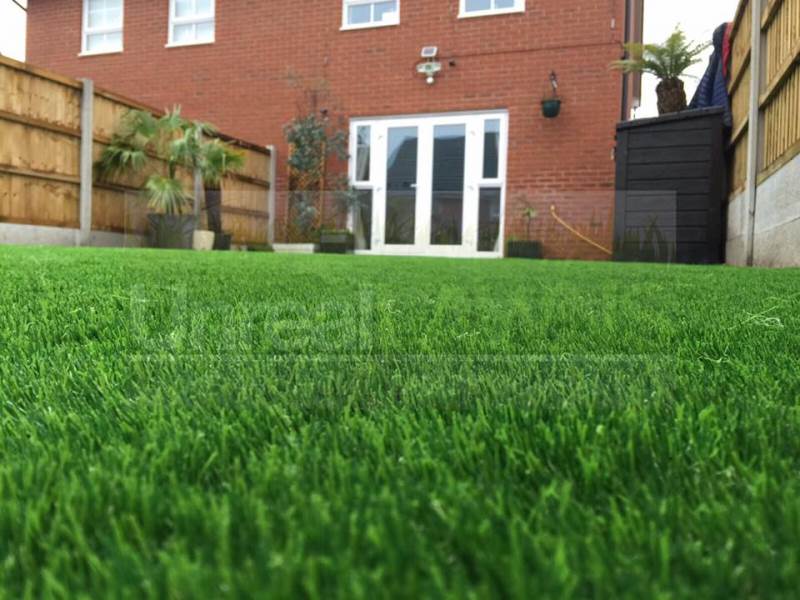 Main image for Unreal Lawns