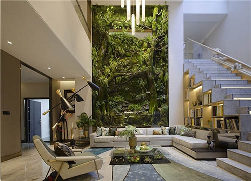 4 Reasons why moss walls are so popular