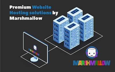 Why use should be using Marshmallow to host your business website.