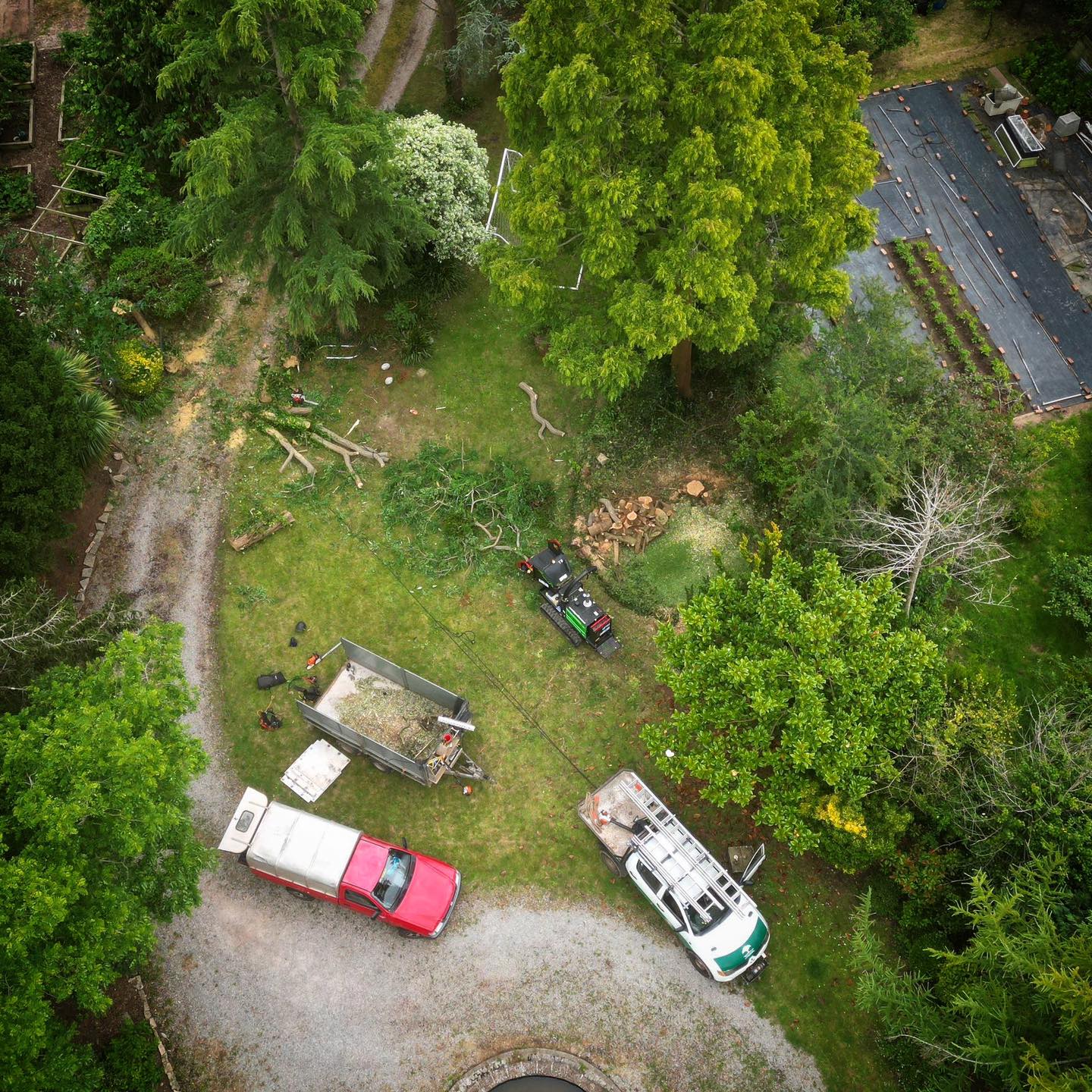 Main image for Treewise Devon