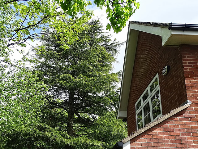 Mortgage Tree Reports