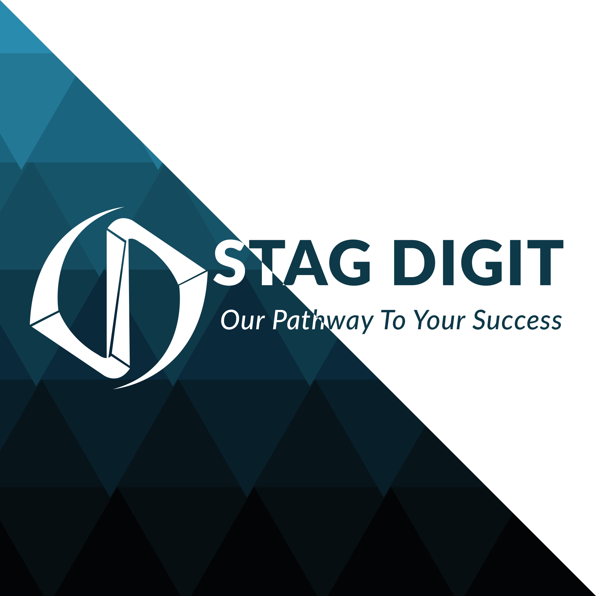 Main image for Stag Digit Limited