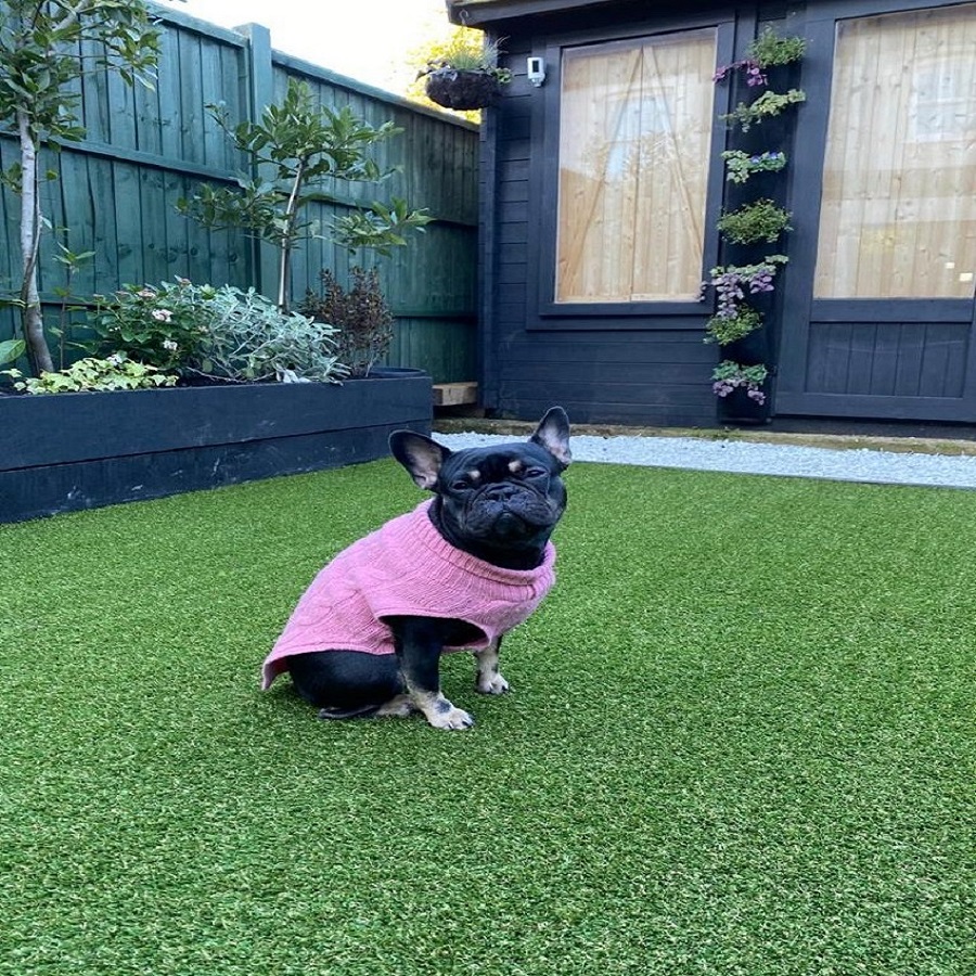 Main image for My Lovely Lawn