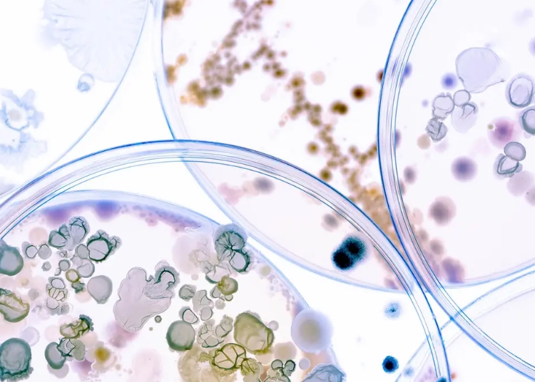 Reduce the time taken to measure viable particle counts in air