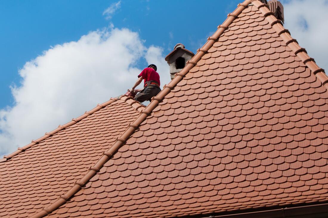 Main image for Zest Roofer