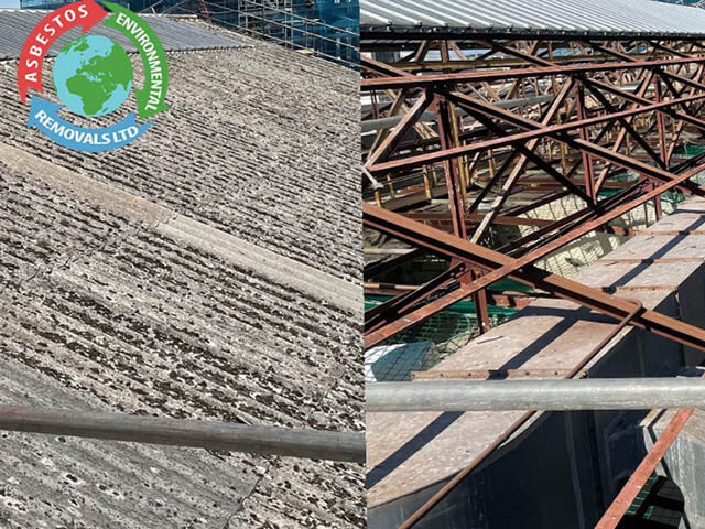 Asbestos Solutions