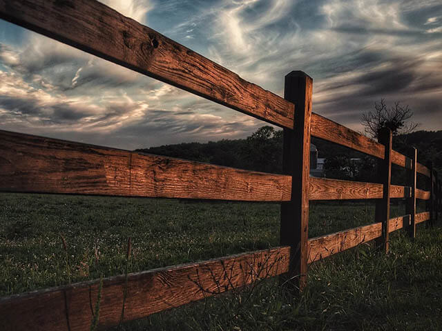 Main image for Forest Heath Fencing Ltd