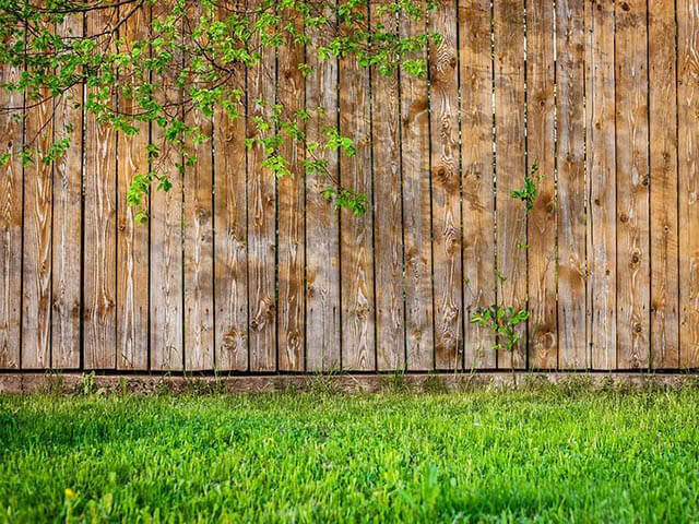 Domestic Fencing