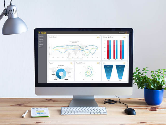 Business intelligence software