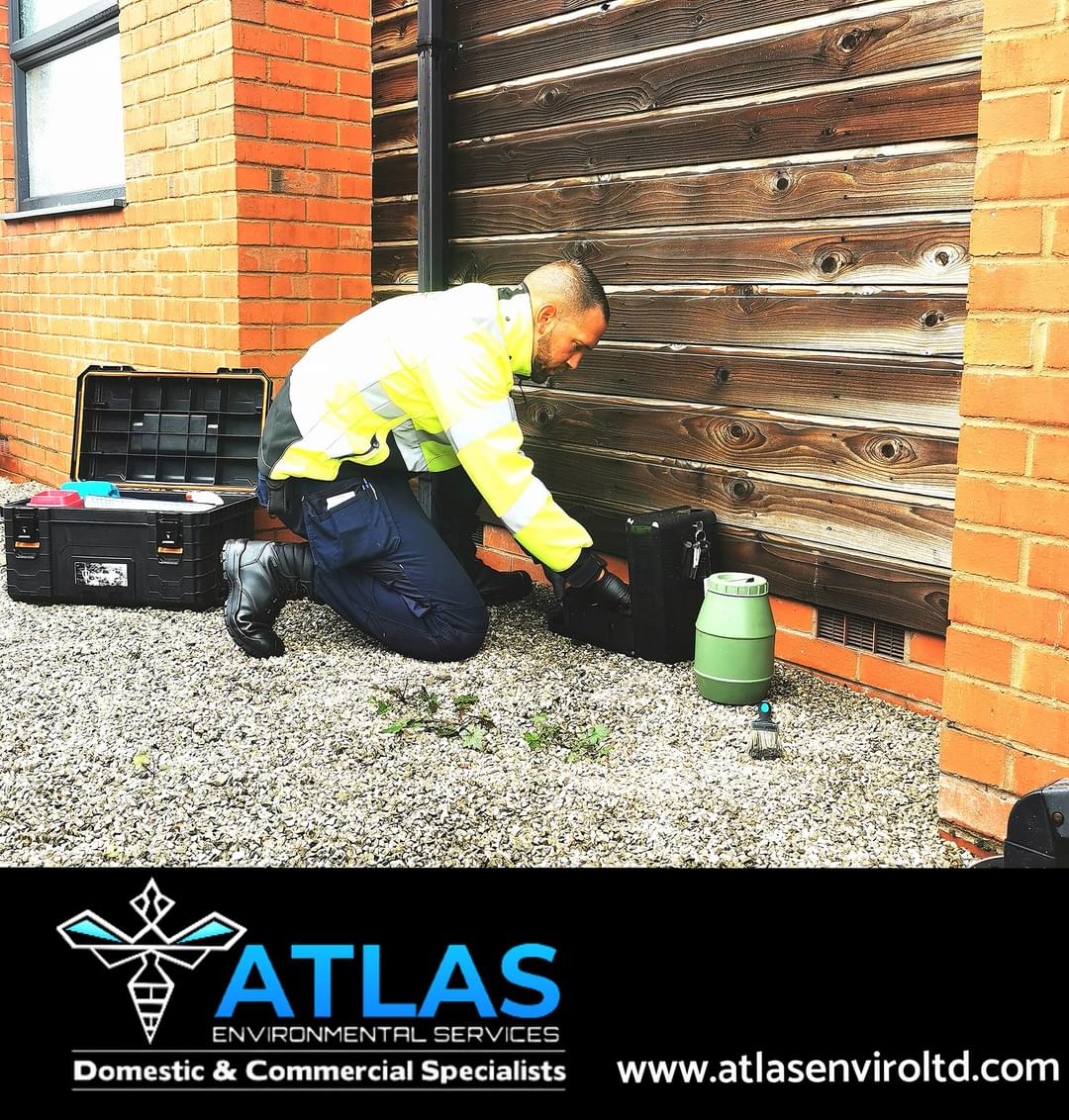 Main image for Atlas Environmental Services Ltd