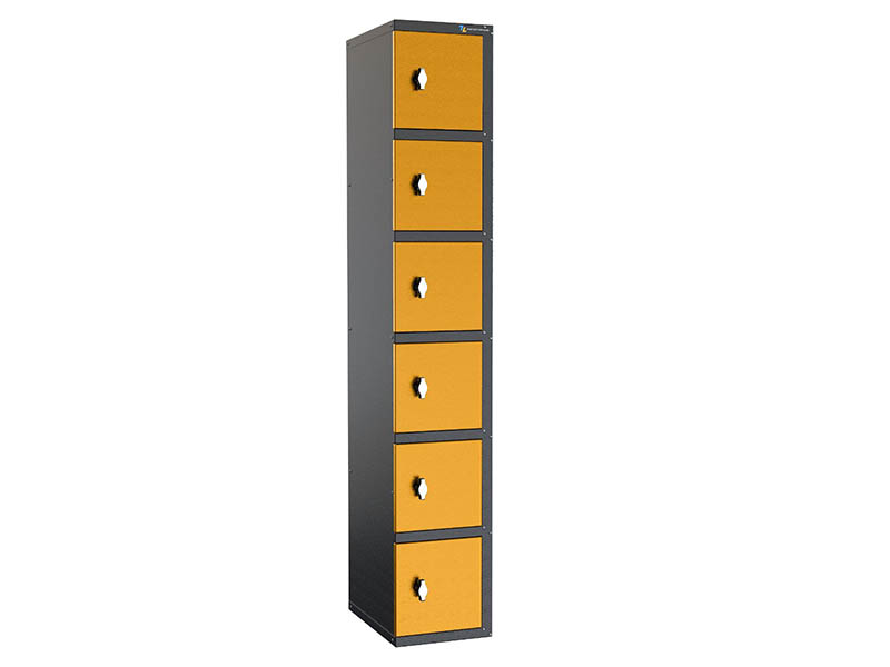 6 Door Smart Storage Lockers