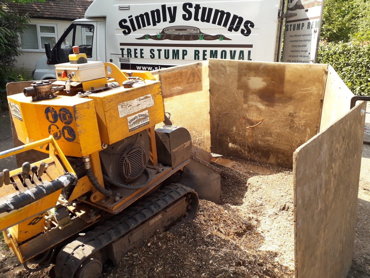 Main image for Simply Stumps - Tree Stump Grinding/Removal