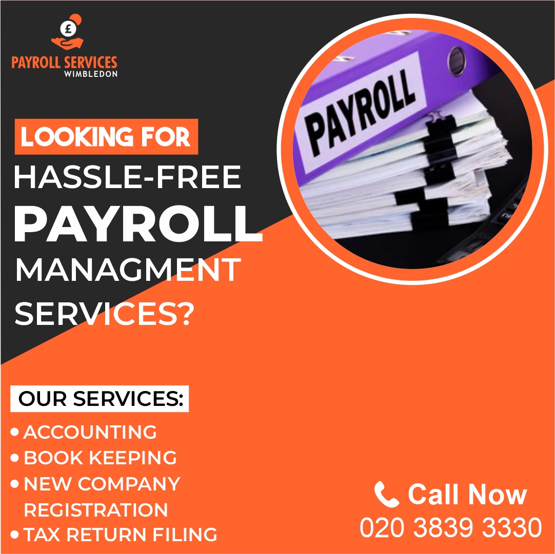 Main image for Wimbledon Payroll Services