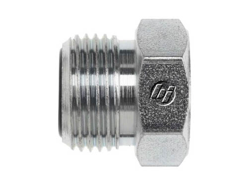 Blanking Plugs and Caps