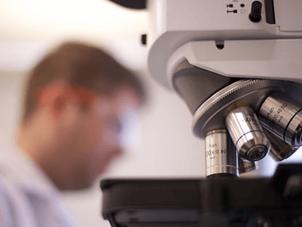 Metallurgical Test Program