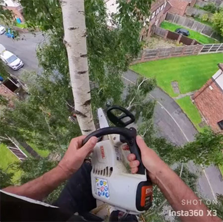 Main image for The Manchester Tree Company