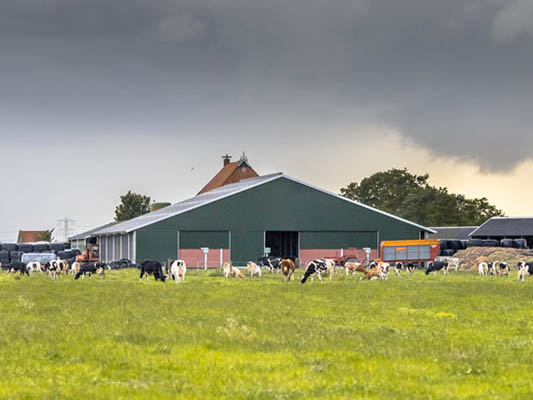 Agricultural Buildings