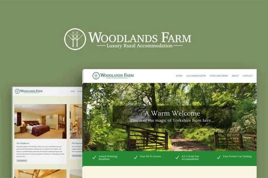 Website Marketing