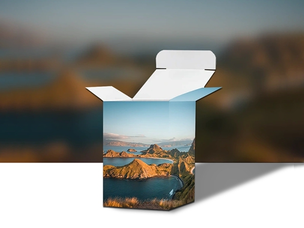 Packaging